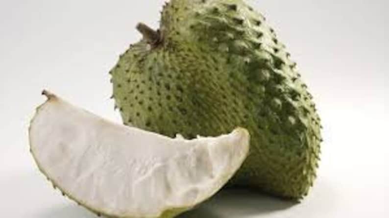 May include: A whole green soursop fruit with a white, fleshy, and slightly curved slice next to it.
