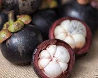 Fresh Mangosteen-2 lbs