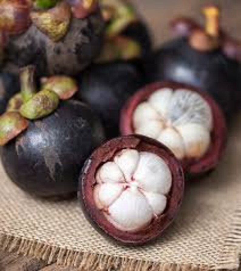 May include: Close-up of several whole mangosteens and two halved mangosteens, revealing the white, segmented flesh inside. The fruit is arranged on a brown burlap surface.
