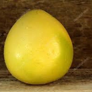 Pode incluir: Uma &uacute;nica fruta pomelo amarela madura. A fruta tem uma casca lisa, ligeiramente texturizada e uma forma de gota. O pomelo est&aacute; sobre uma superf&iacute;cie de madeira.