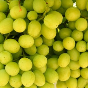 Fresh Green Seedless Grapes, 3 lb Package 