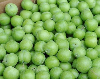 Fresh Green Plum -2.5 LBS- Standard  shipping included