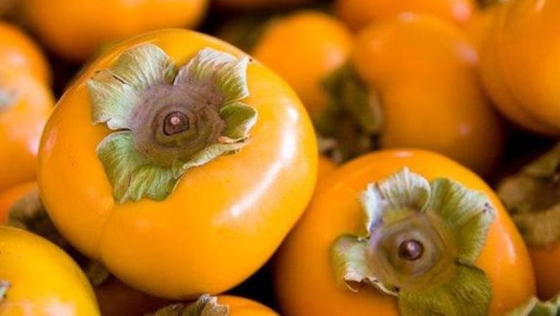 K&ouml;nnte beinhalten: Nahaufnahme von mehreren reifen, orangenfarbenen Kaki mit gr&uuml;nen Spitzen. Die Kaki sind zu einem Haufen gestapelt und zeigen ihre glatte, gl&auml;nzende Haut.