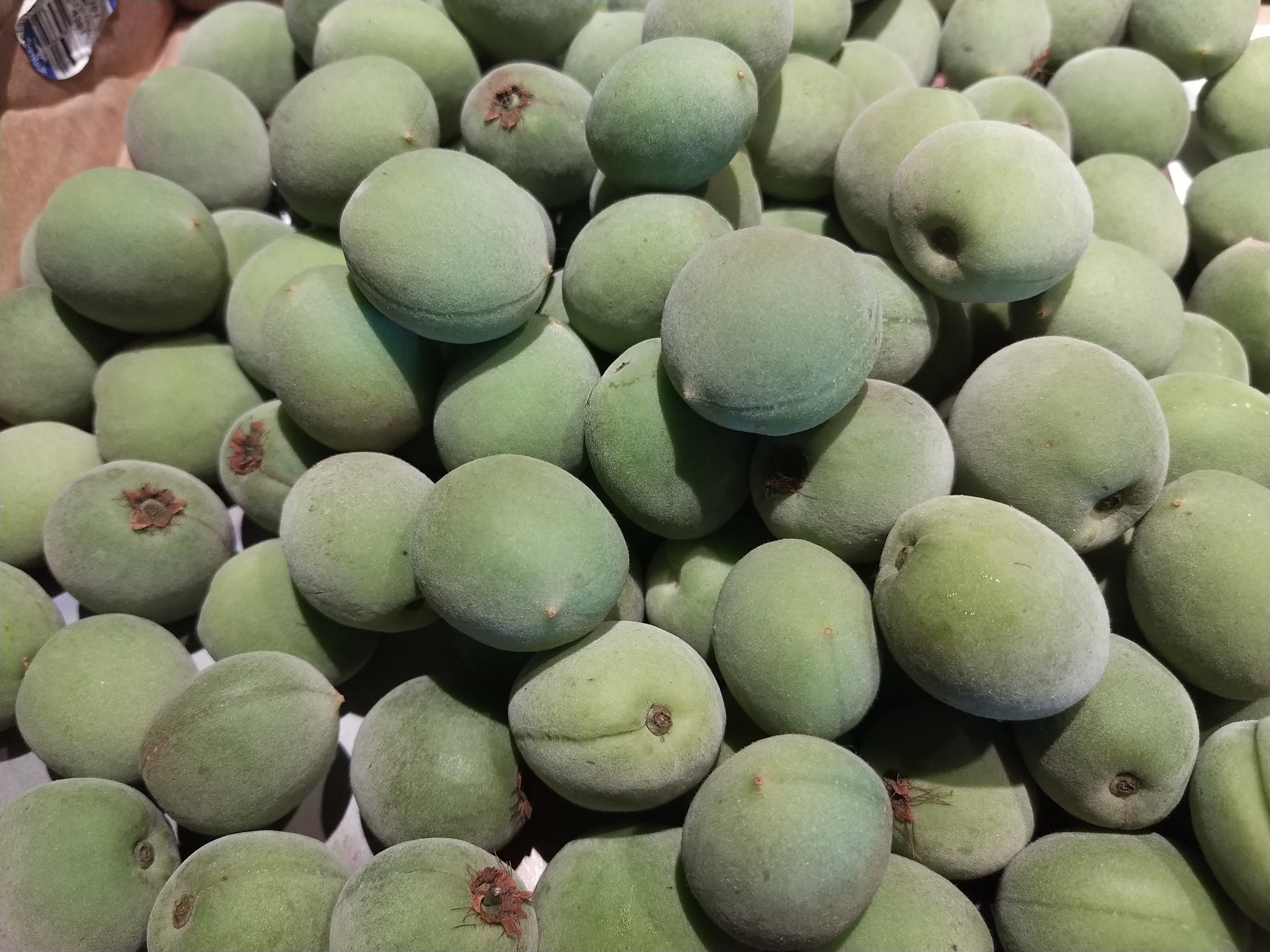 Fresh Green Japanese Ume Plum3 Lbs. Shipping Included. Etsy