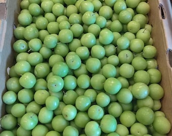 Ciruelas verdes frescas - 2 libras - Envío estándar incluido.