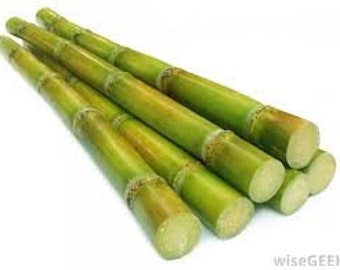 Fresh Sugarcane Sticks (5lbs)-Standard Shipping included.