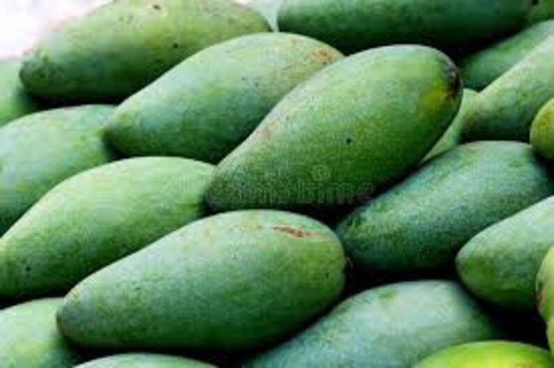 May include: A close-up of a pile of green mangoes. The mangoes are oval-shaped and have a smooth skin.