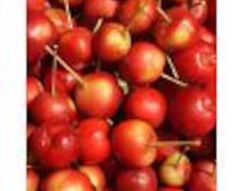 Fresh Cherry Apple- 3 pounds- Standard shipping included.