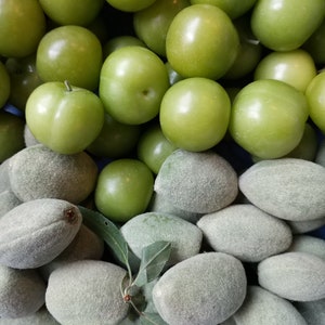 Fresh Almond 1 lb and fresh Green Plum 1 lb total 2 lbsStandard shipping included. image 1