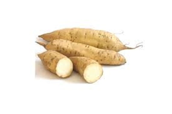 Fresh White Sweet Potatoes-4 Lbs-standard Shipping Included. 