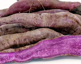 Fresh Purple stroke yam- 4 lbs- Standard shipping included