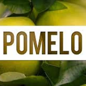 Pode incluir: Close-up de v&aacute;rios pomelos maduros, com casca amarelo-esverdeada brilhante. A imagem apresenta a palavra "POMELO" em letras grandes, em negrito e marrons no centro. Folhas verdes s&atilde;o vis&iacute;veis no fundo.