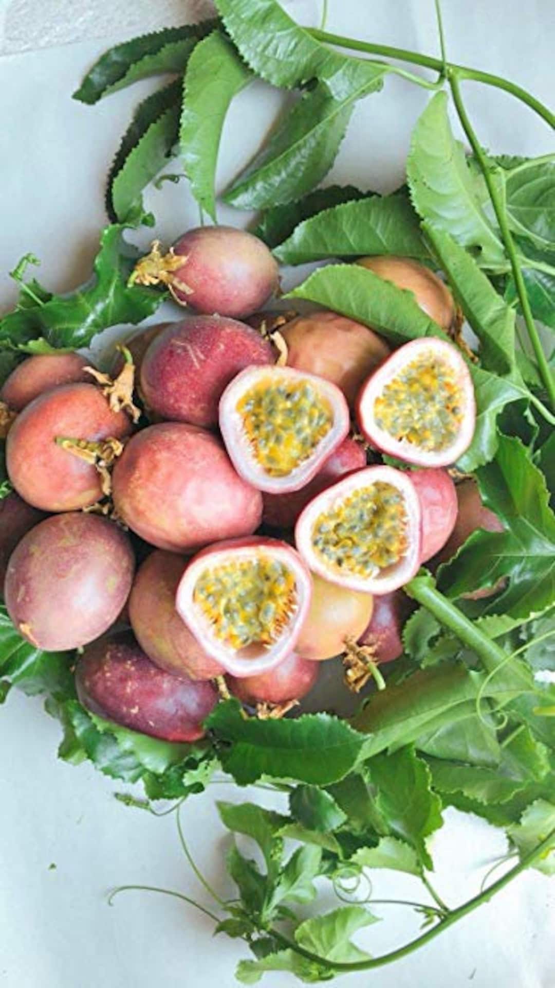 Fresh Passion Fruits 5 Lbs Etsy