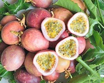 Frutas frescas de la pasión - 5 libras