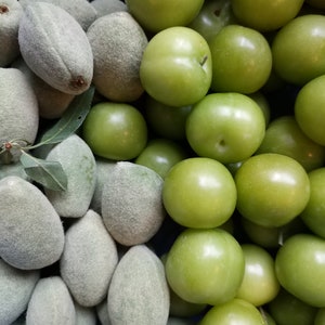 Fresh Almond 1 lb and fresh Green Plum 1 lb total 2 lbsStandard shipping included. image 2