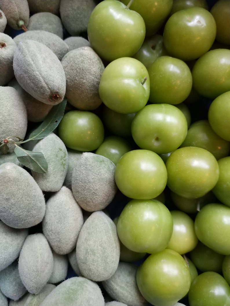 Fresh Almond 1 lb and fresh Green Plum 1 lb total 2 lbsStandard shipping included. image 2