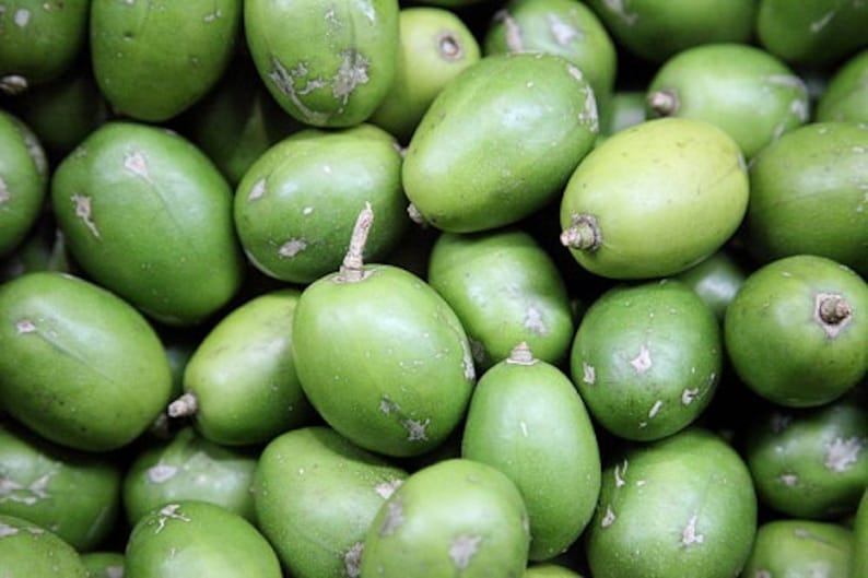 May include: A close-up of a pile of green olives. The olives are smooth and round, with a slightly wrinkled texture.