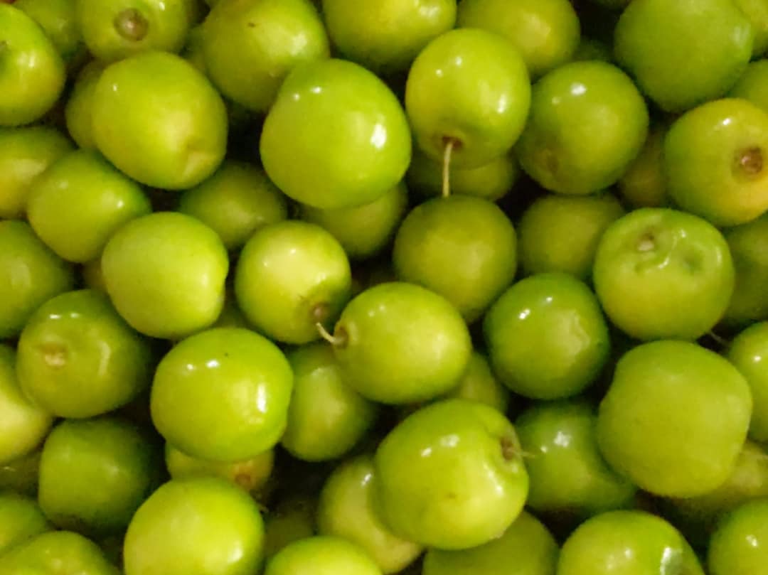 Thai Jujube2.5 Lbs.standard Shipping Included. Etsy