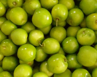 Thai Jujube-2.5 lbs.-Standard shipping included.