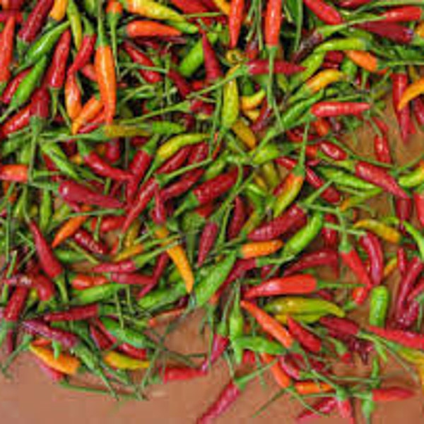 Thai Chili Etsy