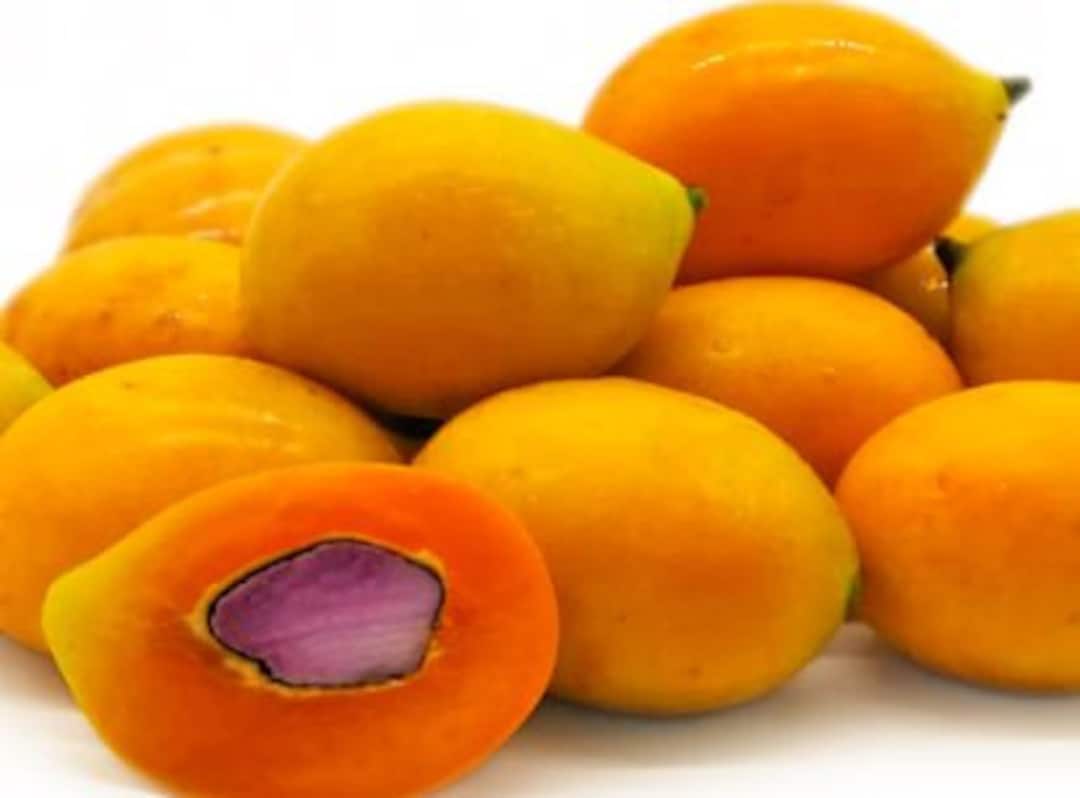 Fresh Maprang thai Plum Mango Bouea Macrophyll2 Lbs.standard Shipping
