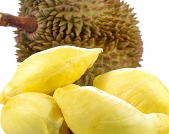 Fresh Durian_ the whole fruit (3-4 lbs)_ Standard shipping included.