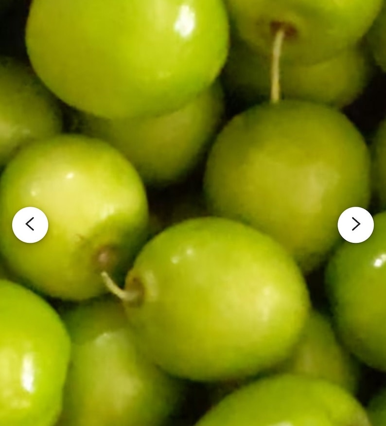 Fresh green jujube-30 fruits image 1