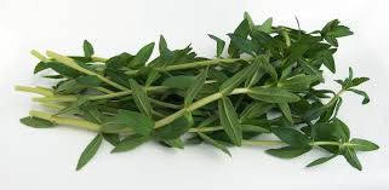 Puede incluir: Un mont&oacute;n de ramitas de tomillo fresco, con peque&ntilde;as hojas verdes ovaladas y tallos verde claro. Las hierbas est&aacute;n dispuestas sobre un fondo blanco, resaltando su color vibrante y textura. La imagen destaca la frescura natural de la hierba culinaria.