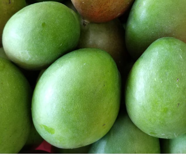 Sour Green Mangoes 5 Counts Standard Shipping Included Etsy