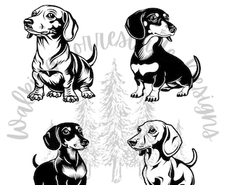 Playful Dachshund SVG/PNG Collection: Cute Wiener Dog Clipart for Creative Projects - Digital Download