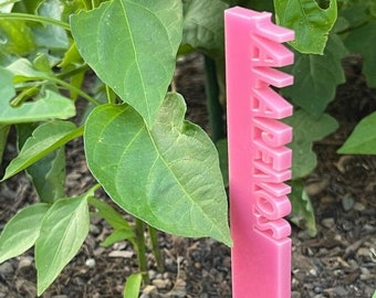Pennarelli/etichette da giardino: pennarelli acrilici accattivanti per un giardino perfetto