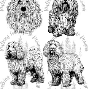 Komondor SVG/PNG Collection: Dog Clipart for Creative Projects - Digital Download