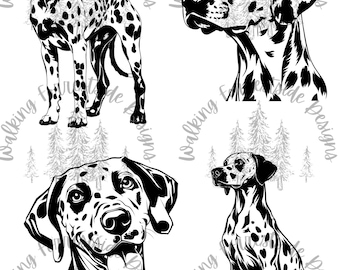 Dalmatian SVG/PNG Collection: Dog Clipart for Creative Projects - Digital Download