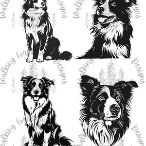 Border Collie SVG/PNG Collection: Dog Clipart for Creative Projects - Digital Download