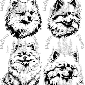 Colección SVG/PNG de Pomerania: imágenes prediseñadas de perros para proyectos creativos - Descarga digital