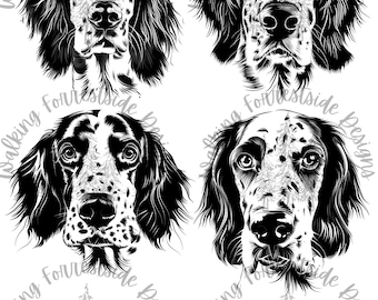 English Setter SVG PNG Bundle | Setter Dog Cut File for Cricut Silhouette | Dog Mom Gift | Sublimation Design | Instant Digital Download