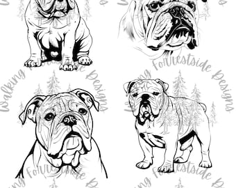 English Bulldog SVG/PNG Collection: Dog Clipart for Creative Projects - Digital Download