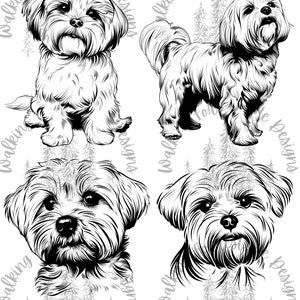 Maltese SVG/PNG Collection: Dog Clipart for Creative Projects - Digital Download