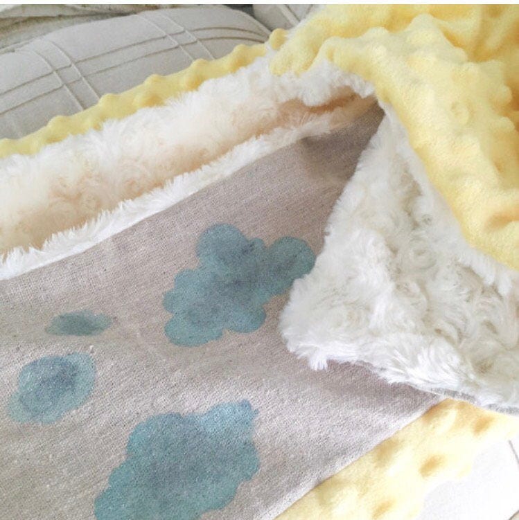 Personalized Baby Blanket / Plush & Cozy