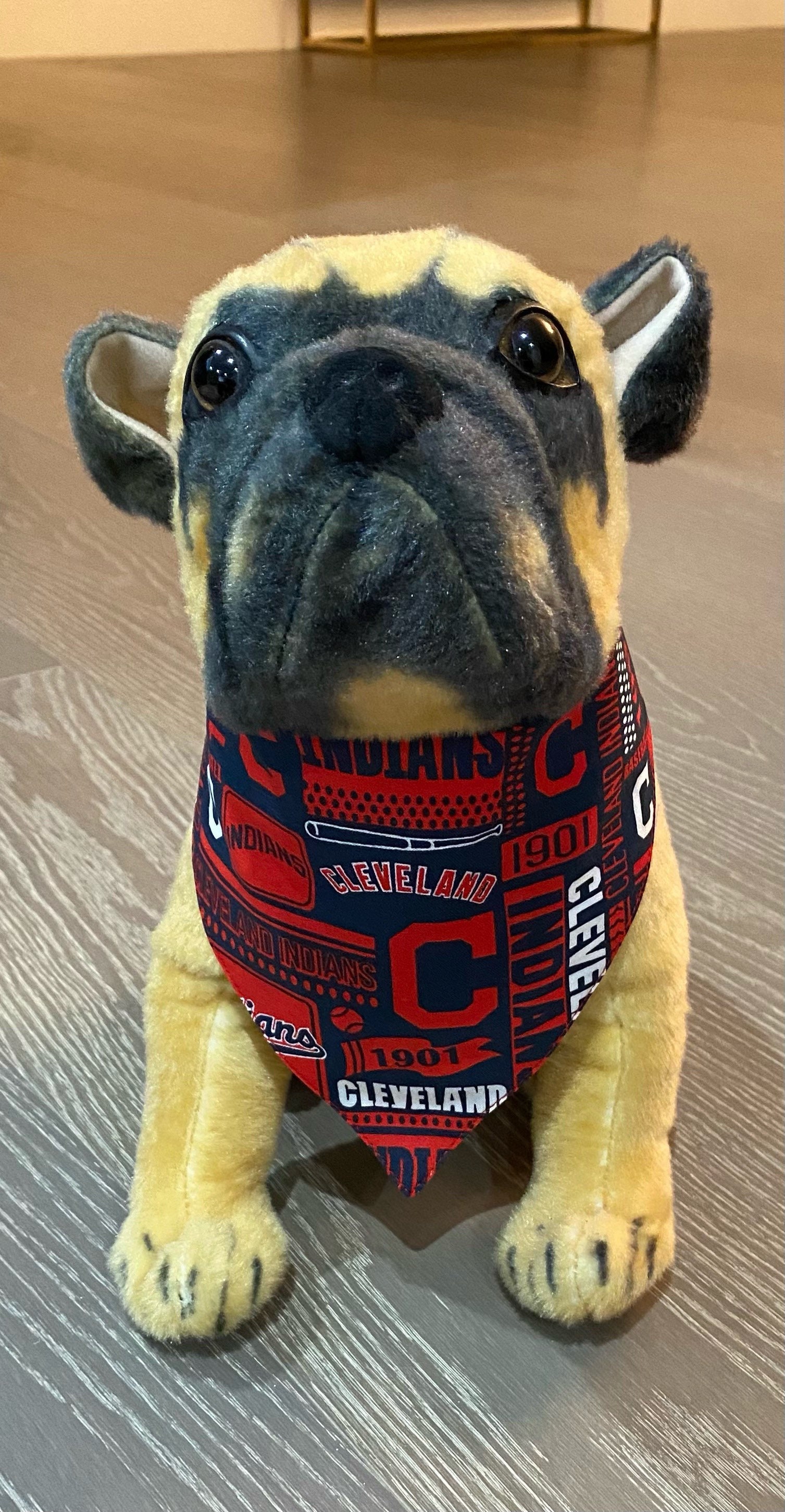 Cleveland Indians Reversible Dog Bandana -  Israel