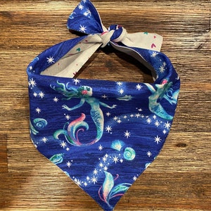 Reversible Dog Bandana