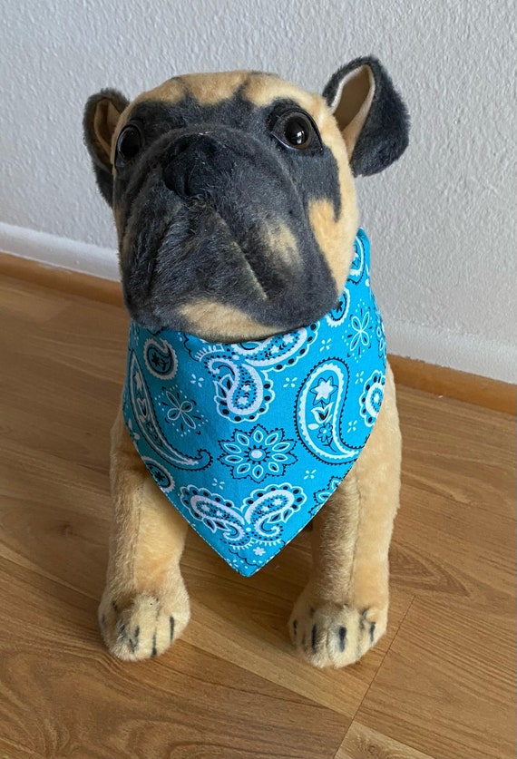 Warriors 2025 dog bandana