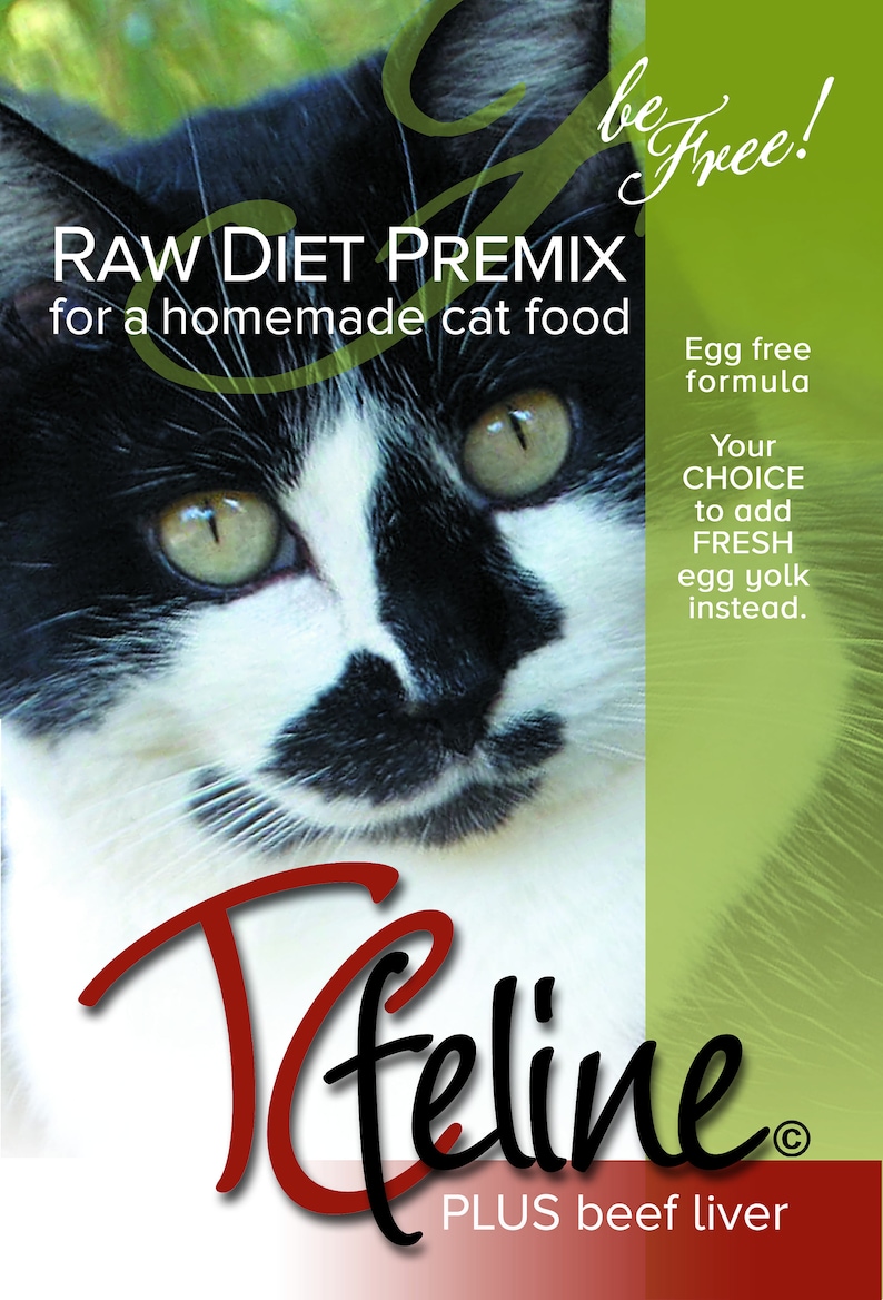 4.2oz Tcfeline Raw Cat Food Premix/supplement to Make Homemade Etsy