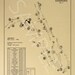 Pinehurst No. 7 Golf Course Outline print - Etsy