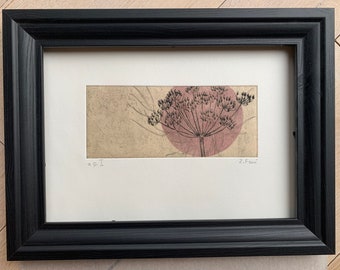 Fine Art Etching of a Fennel flower. Original hand pulled print.