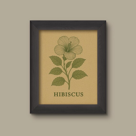 Vintage Hibiscus Art Print | Monochrome Botanical Flower