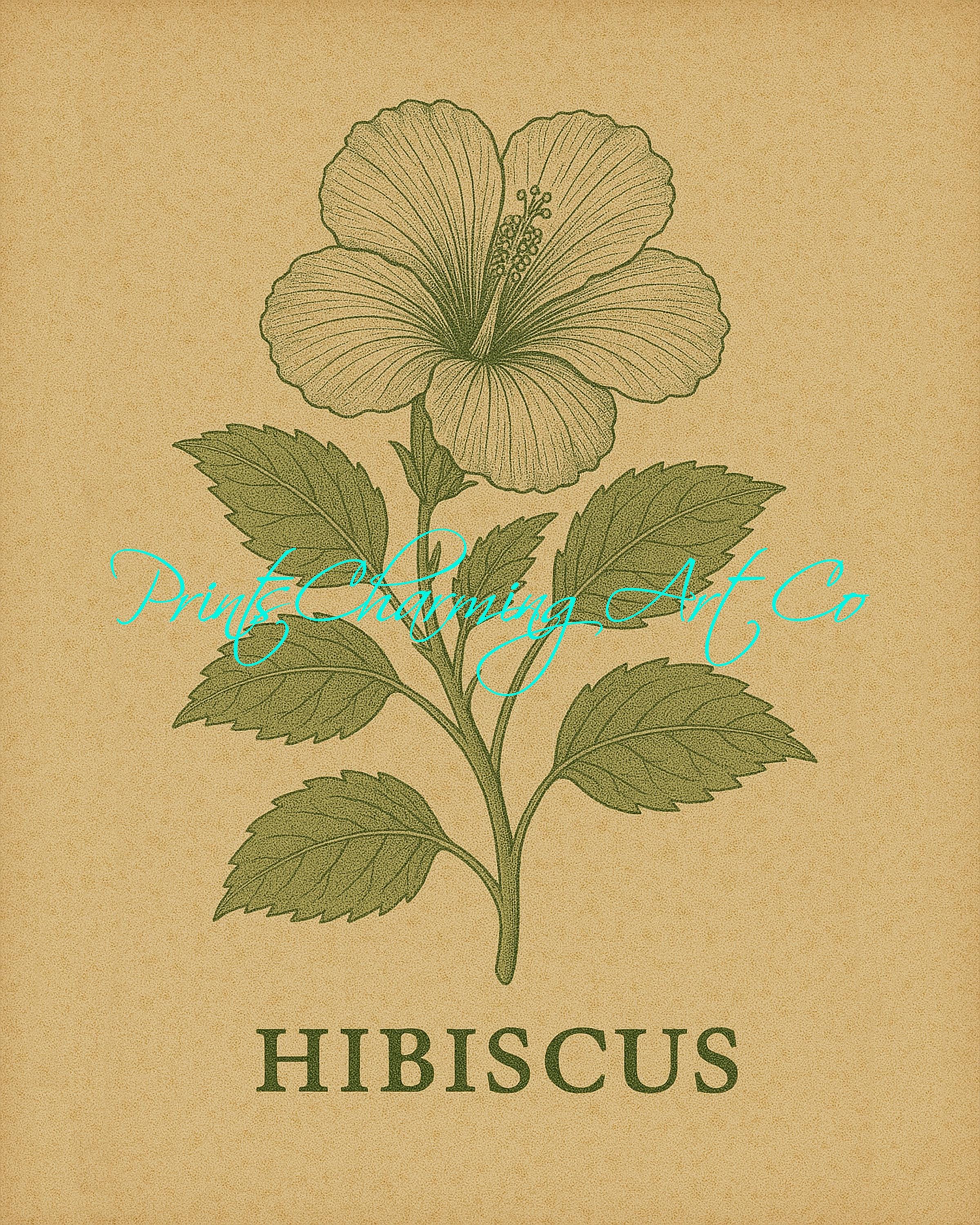 Vintage Hibiscus Art Print | Monochrome Botanical Flower