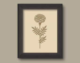 Vintage Marigold Art Print |  Floral Wall Decor | Botanical Flower Painting