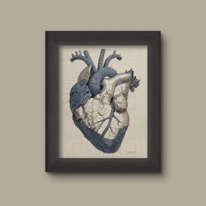 Anatomical Heart Art Print | Vintage Medical Illustration Wall Decor
