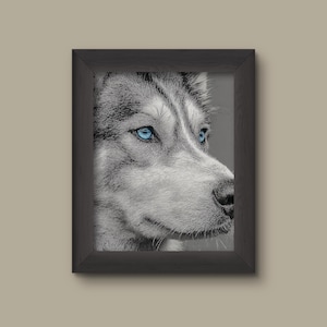 Husky Portrait Wall Art Print